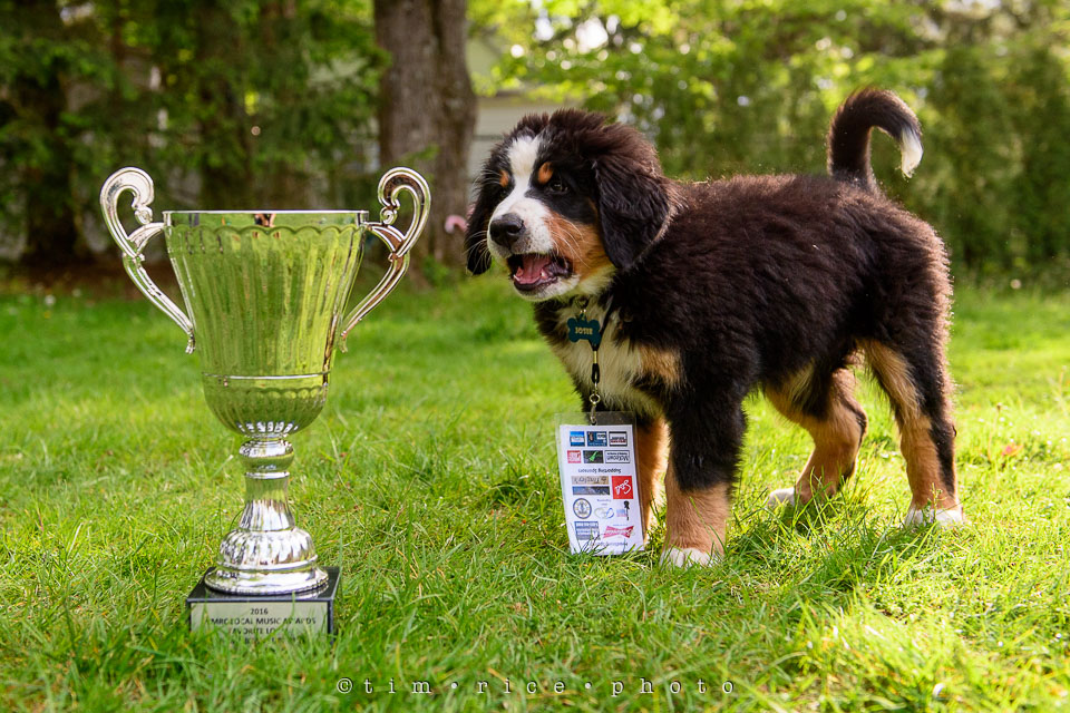 Yr7•239-366•2427•Honors