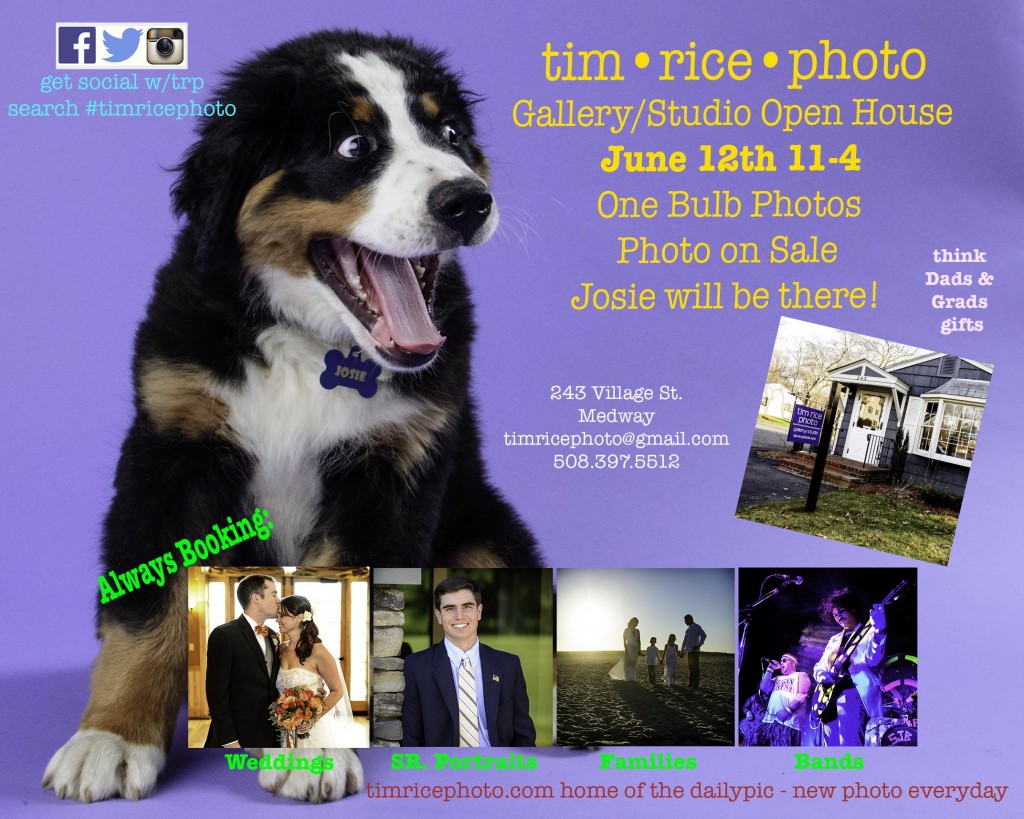 JoiseOMG_GalleryOpen