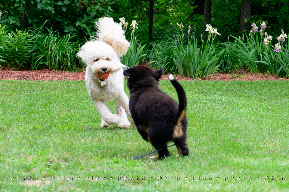 Yr7•246-366•2437•Instant Friends