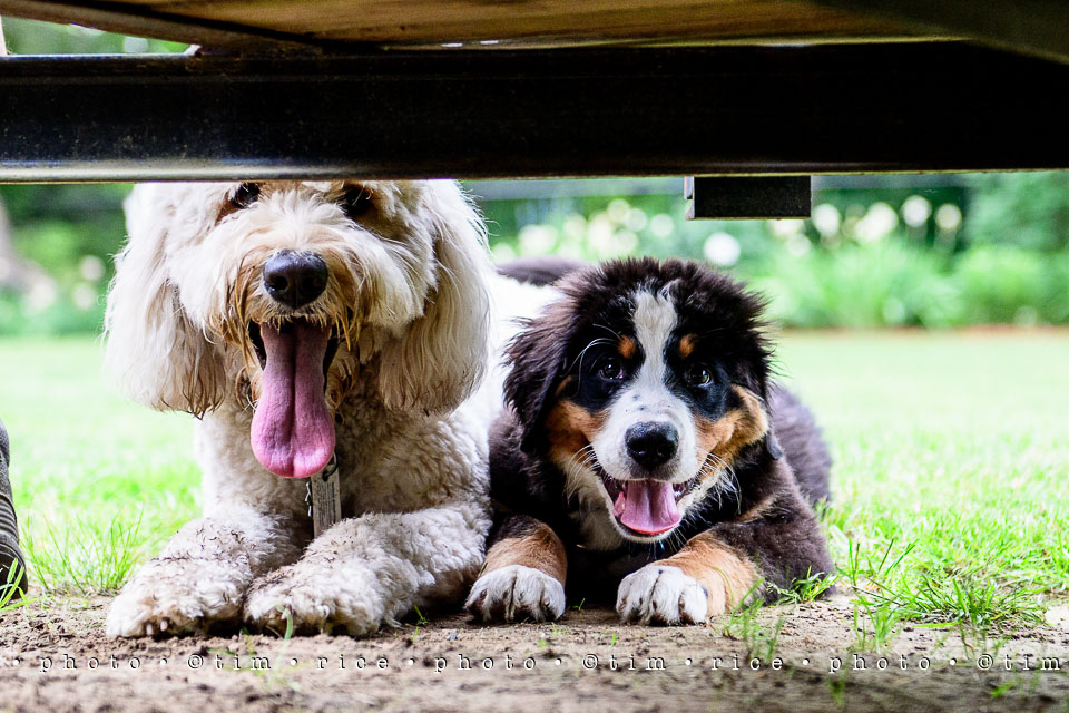 Yr7•246-366•2437•Instant Friends