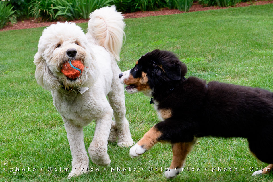 Yr7•247-366•2437•Instant Friends