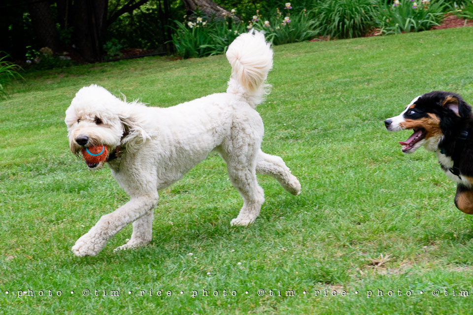 Yr7•248-366•2437•Instant Friends