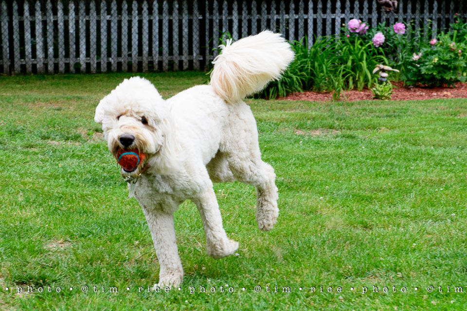 Yr7•249-366•2437•Instant Friends