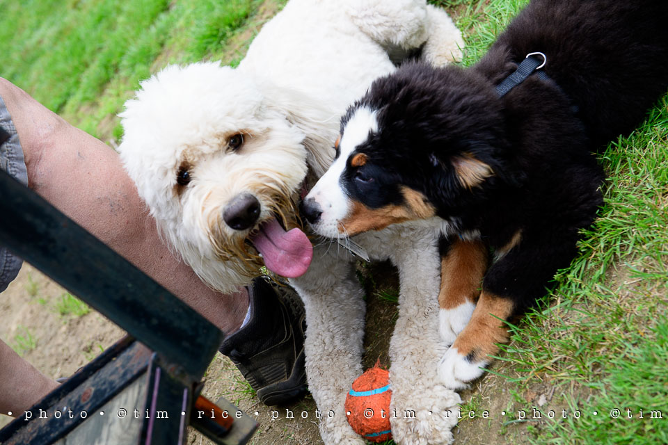 Yr7•250-366•2437•Instant Friends