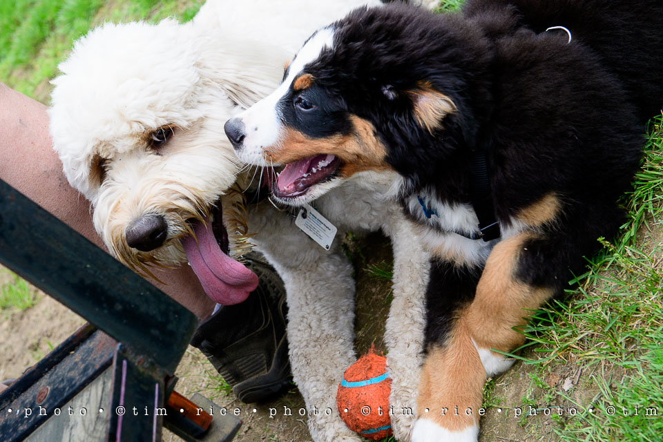 Yr7•251-366•2437•Instant Friends