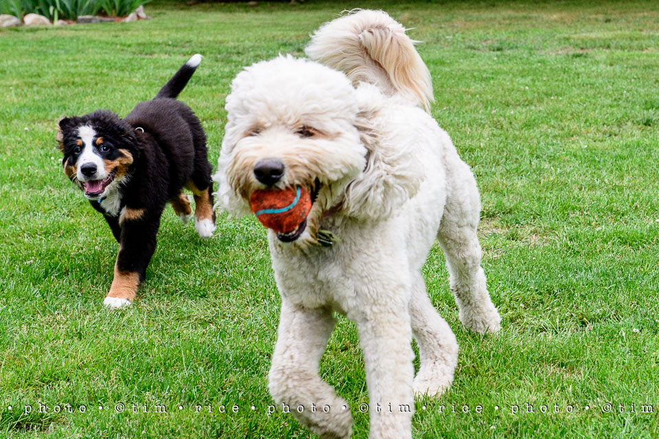 Yr7•252-366•2437•Instant Friends