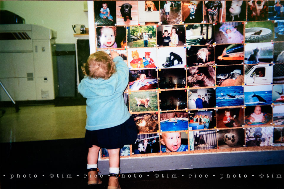 Yr7•252-366•2441•The Photo Shop
