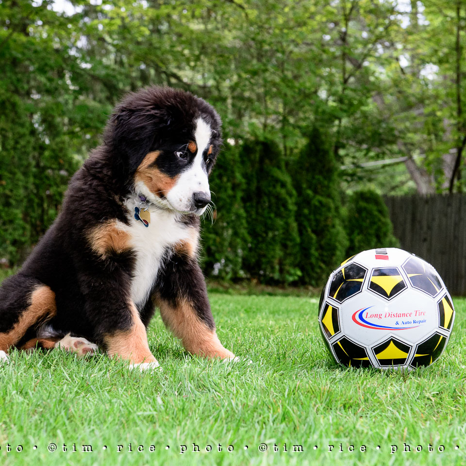 Yr7•252-366•2443•Long Distance Tire