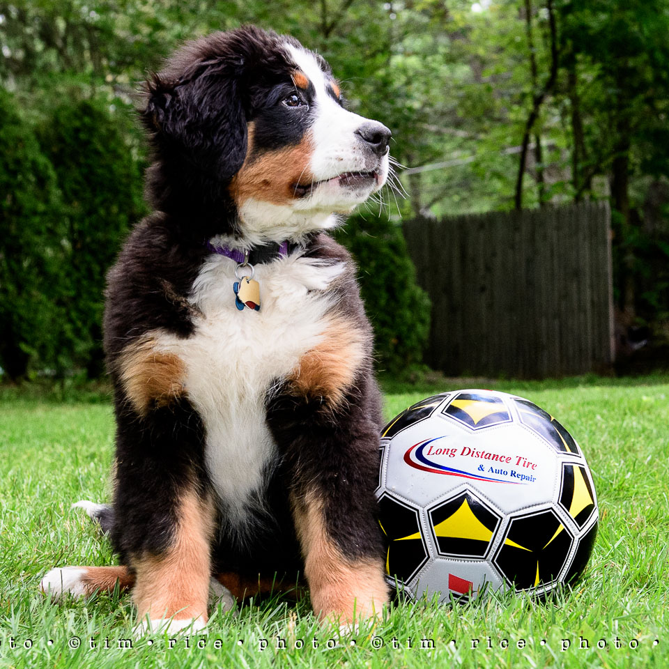 Yr7•252-366•2443•Long Distance Tire