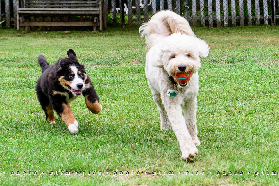 Yr7•253-366•2437•Instant Friends