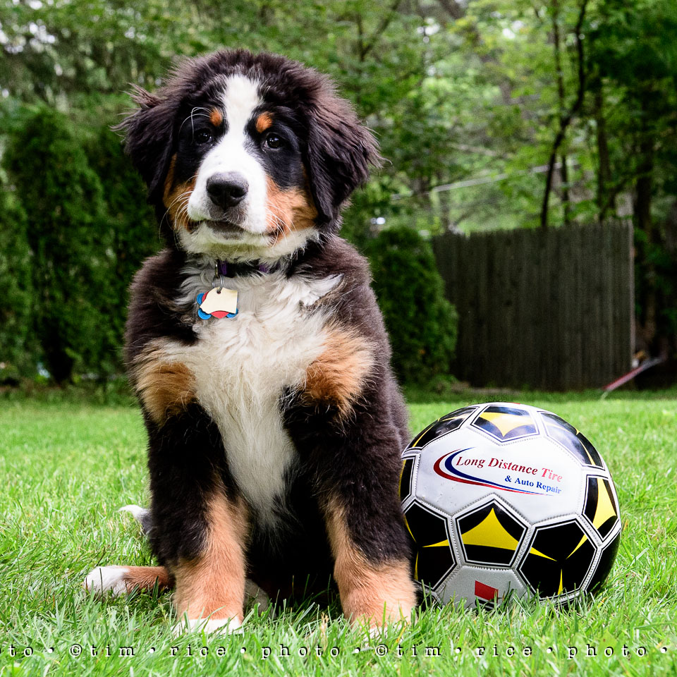 Yr7•253-366•2443•Long Distance Tire