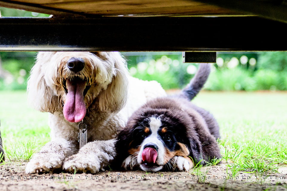 Yr7•254-366•2437•Instant Friends