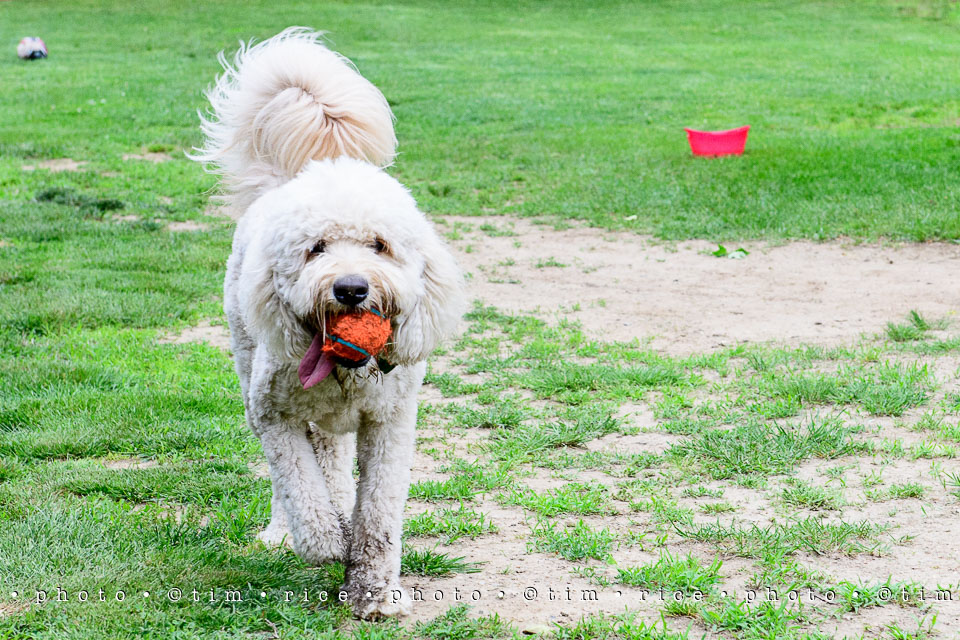 Yr7•255-366•2437•Instant Friends