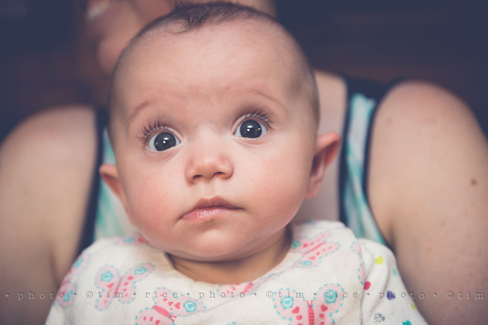 Yr7•255-366•2446•Bella