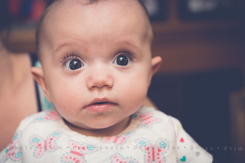 Yr7•256-366•2446•Bella