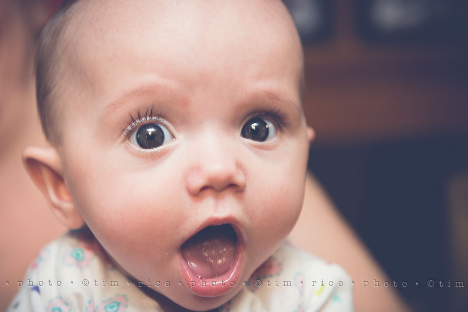 Yr7•258-366•2446•Bella