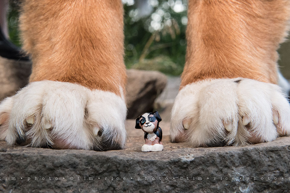 Yr7•266-366•2457•Smalls