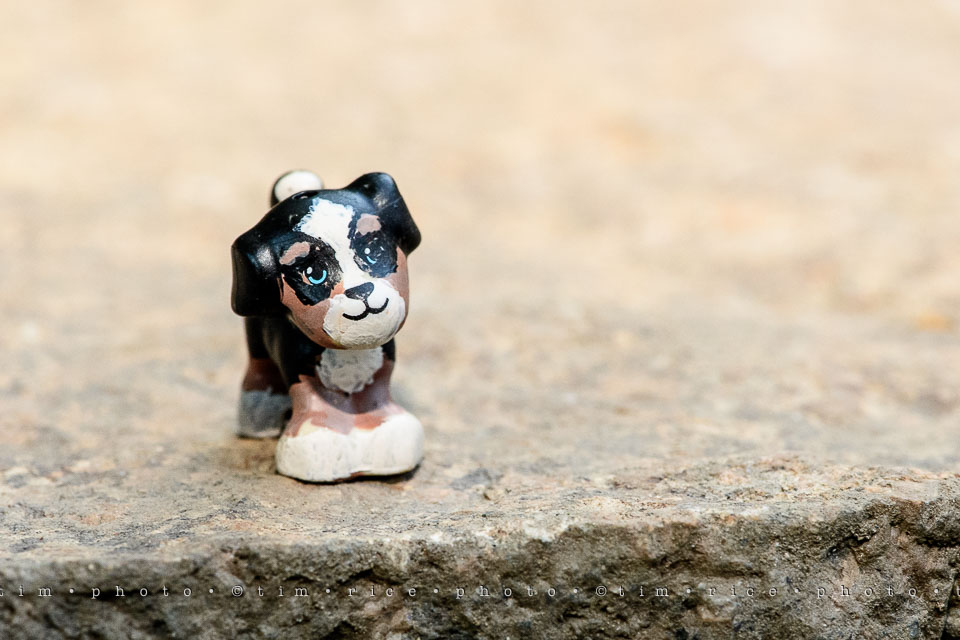 Yr7•266-366•2457•Smalls