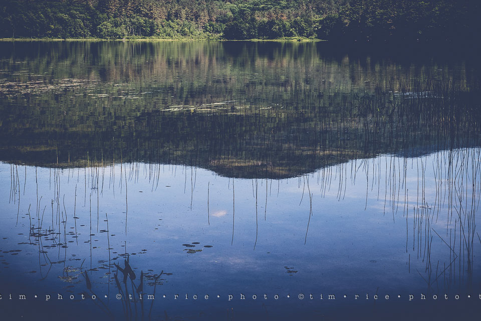 Yr7•269-366•2460•Chaotic Spider