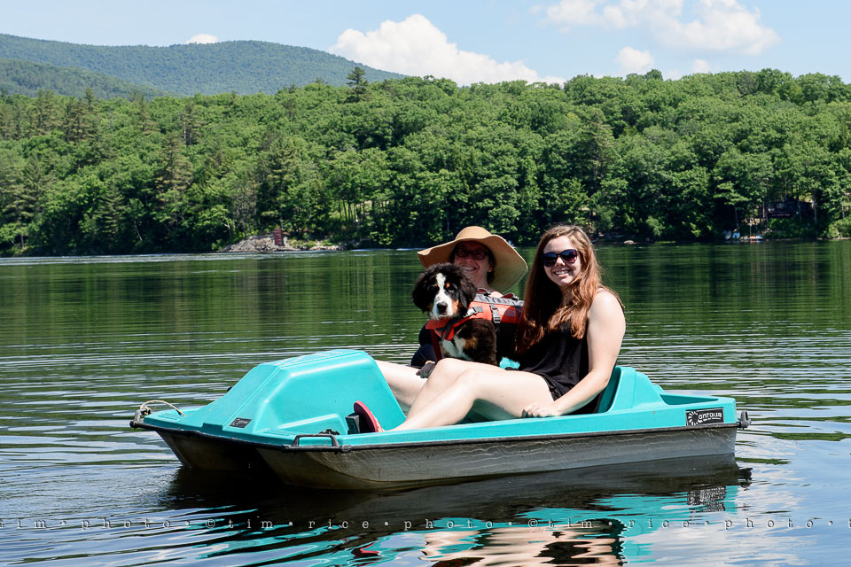 Yr7•271-366•2460•Chaotic Spider