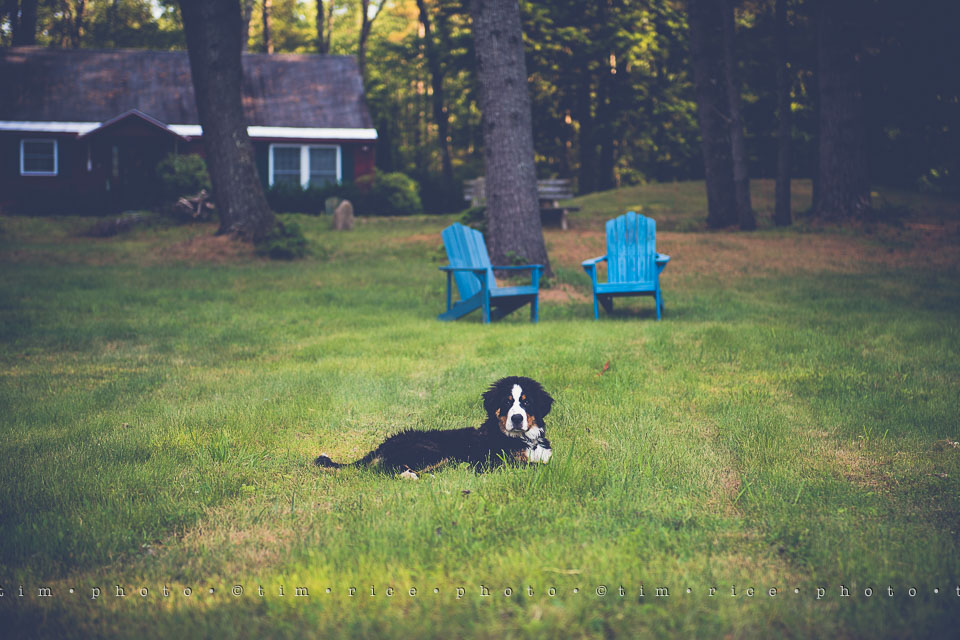 Yr7•273-366•2460•Chaotic Spider