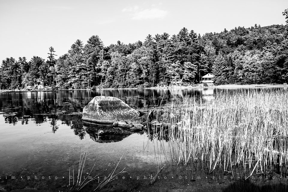 Yr7•274-366•2460•Chaotic Spider