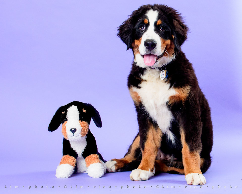 Yr7•280-366•2471•Josie at 4 Months