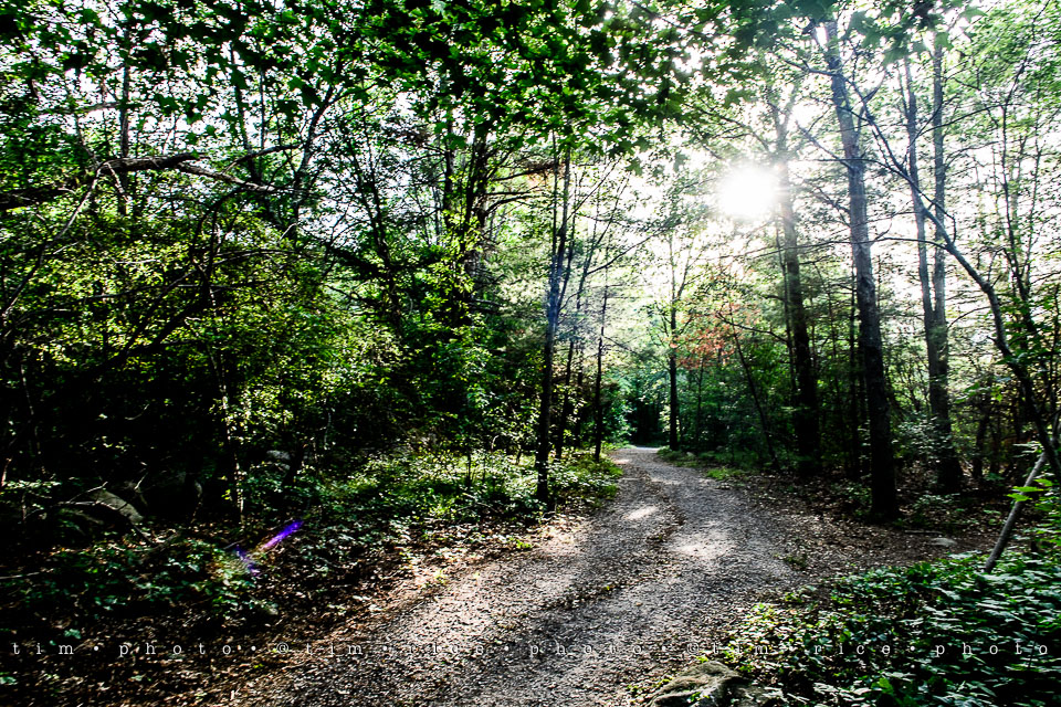 Yr7•288-366•2477•Medway Trail
