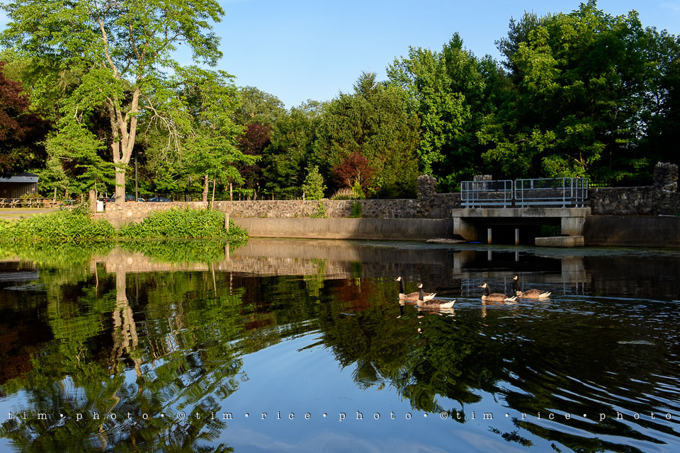 Yr7•291-366•2477•Medway Trail
