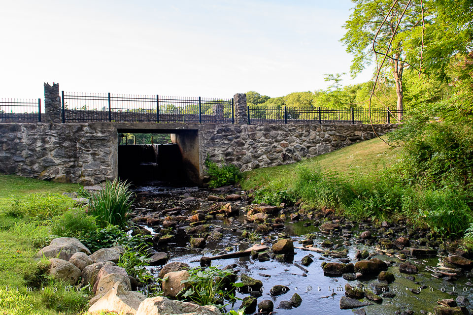Yr7•292-366•2477•Medway Trail