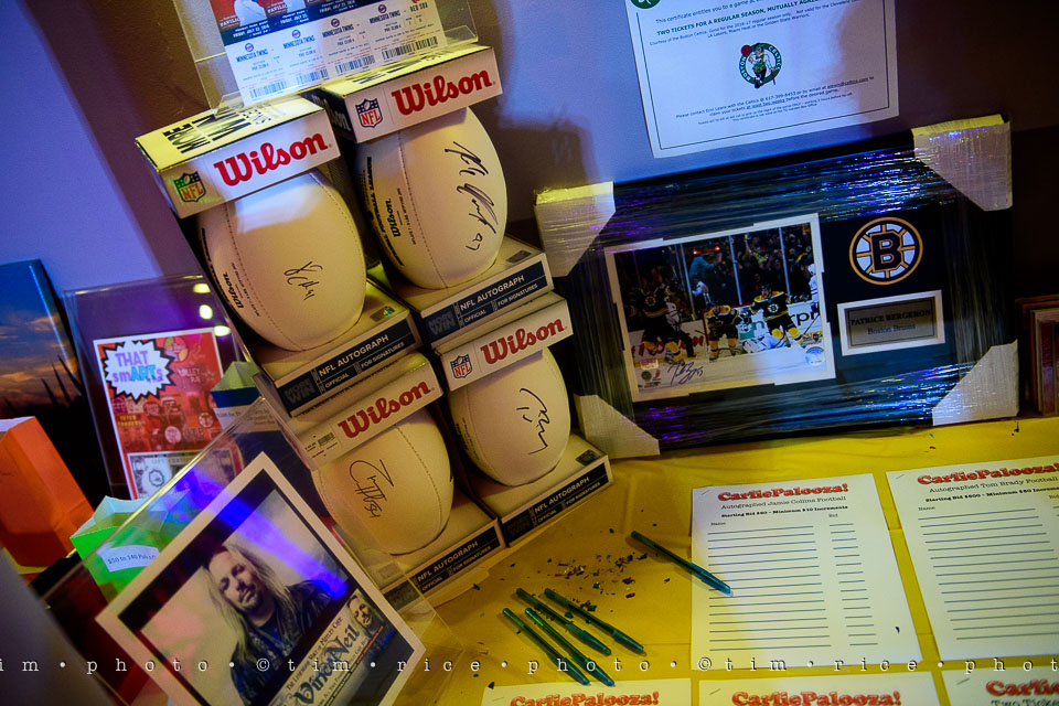 Yr7•293-366•2482•Carlie's Wish