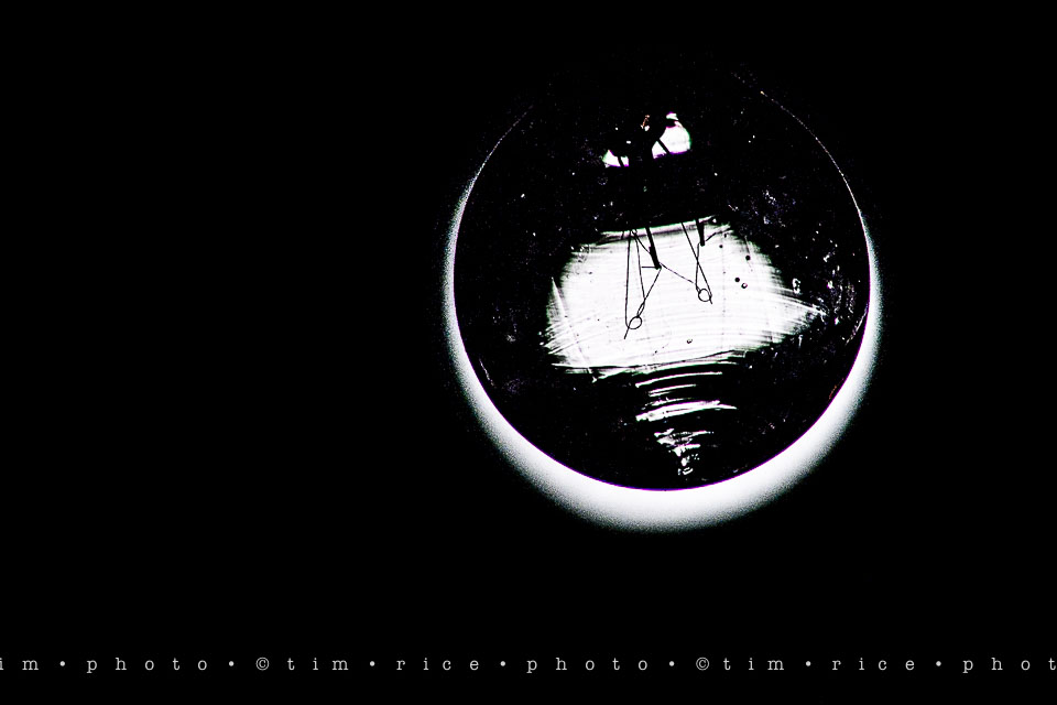 Yr7•295-366•2486•Light