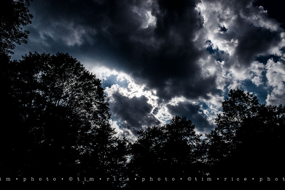 Yr7•296-366•2487•Summer Heat