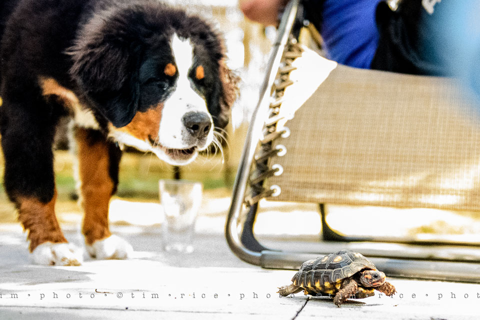 Yr7•298-366•2489•Meeting