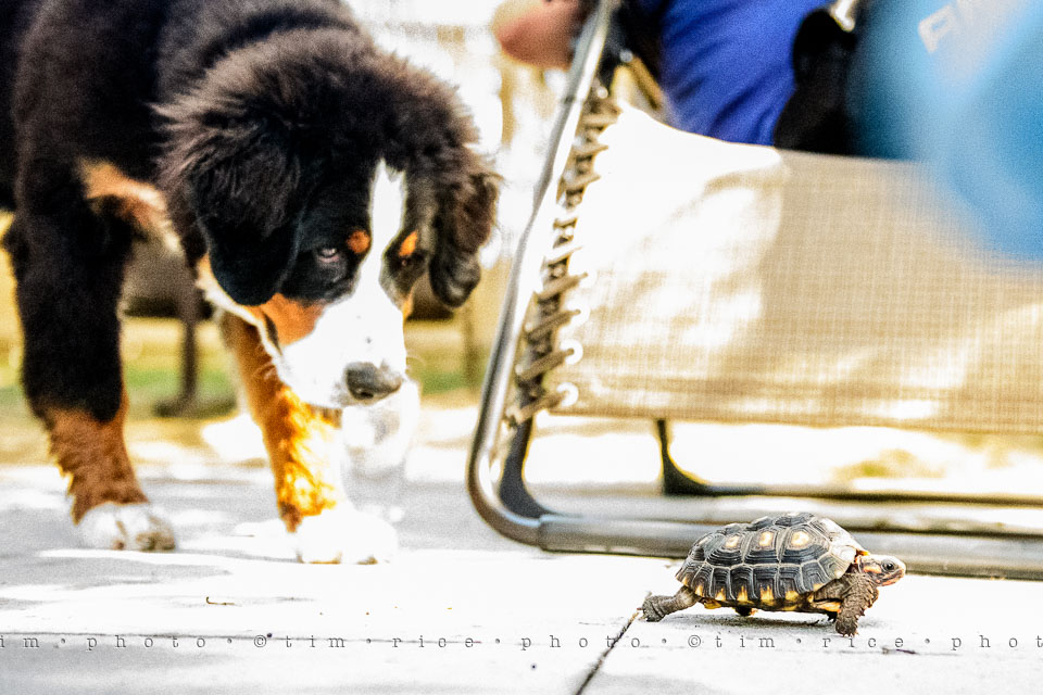 Yr7•299-366•2489•Meeting