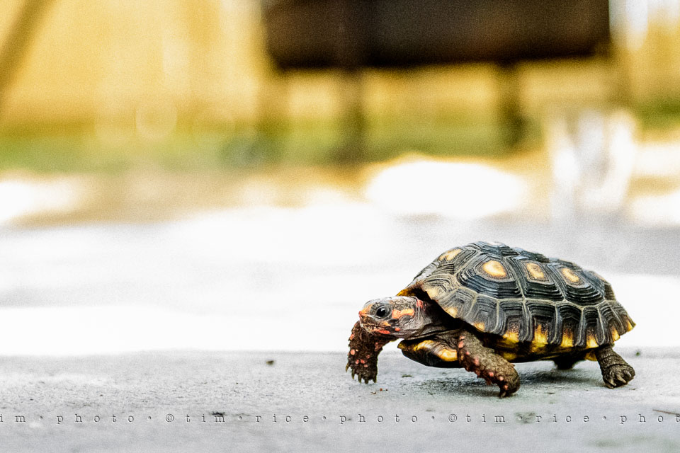 Yr7•300-366•2489•Meeting