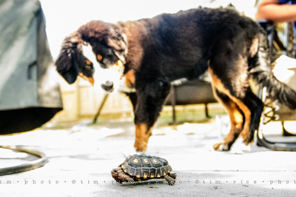 Yr7•301-366•2489•Meeting