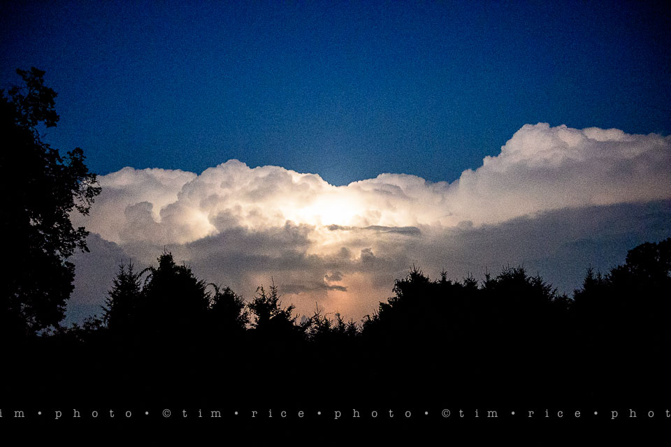 Yr7•302-366•2488•Power Show