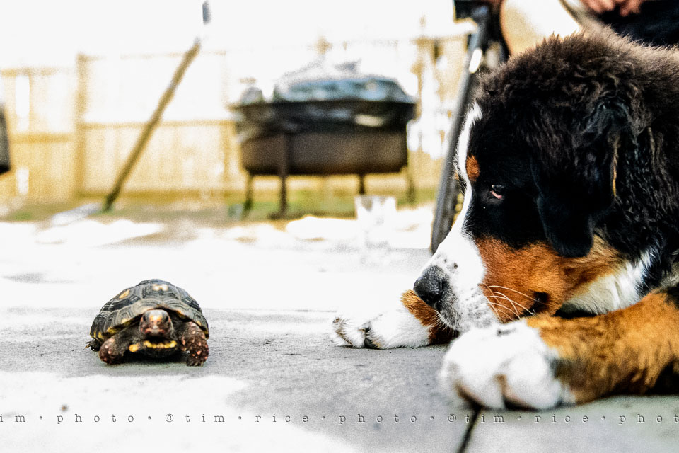 Yr7•302-366•2489•Meeting