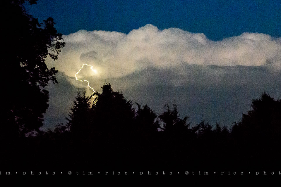 Yr7•303-366•2488•Power Show