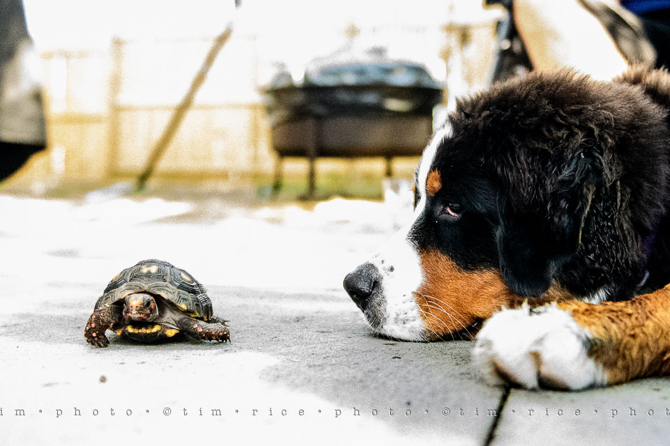 Yr7•303-366•2489•Meeting