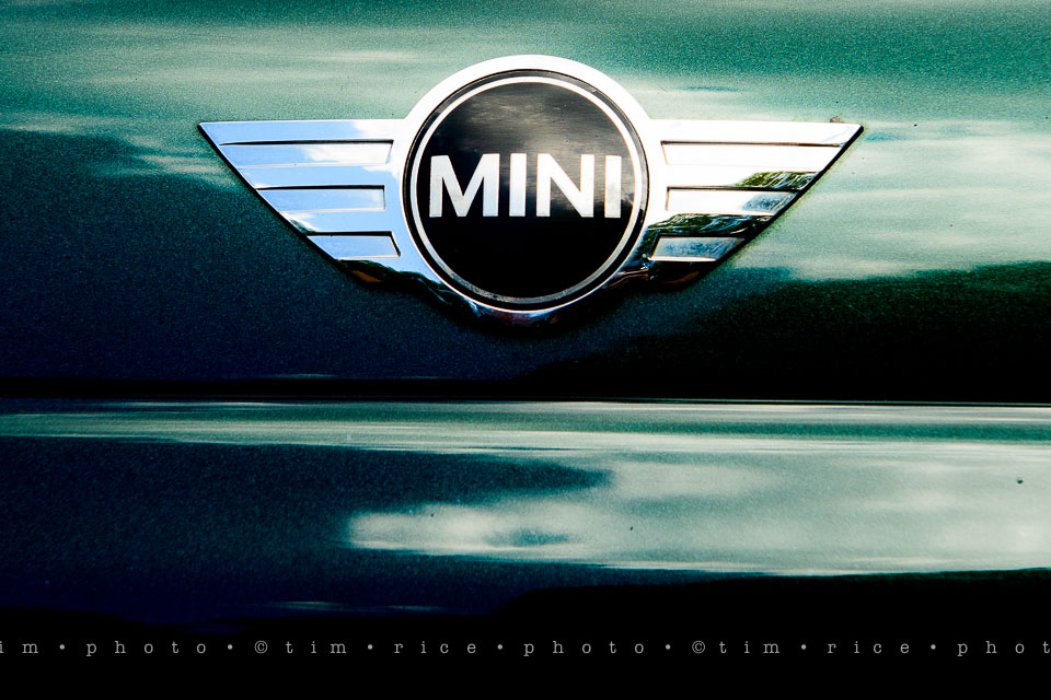 Yr7•303-366•2493•The Little Things