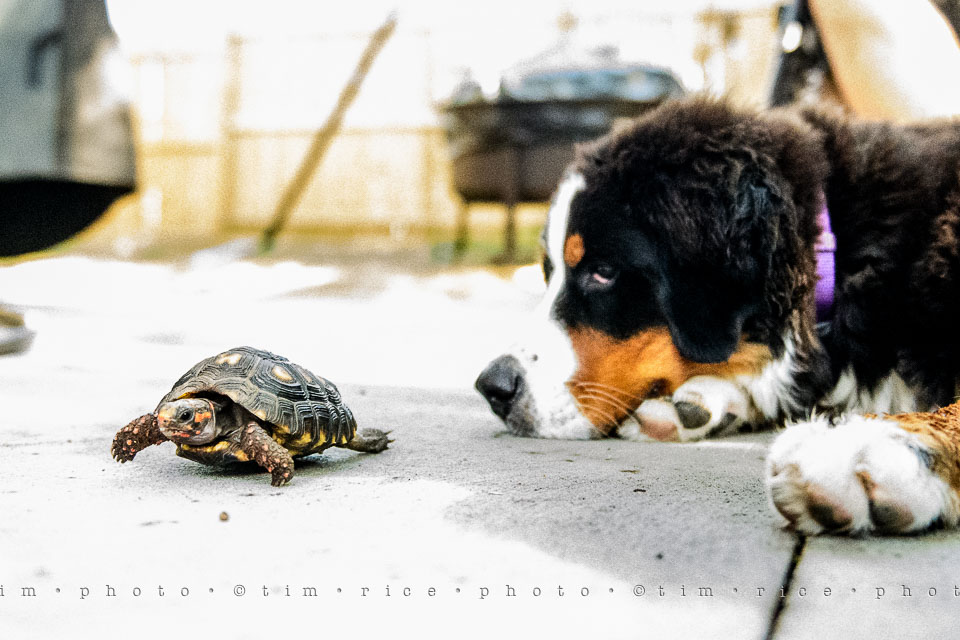 Yr7•305-366•2489•Meeting