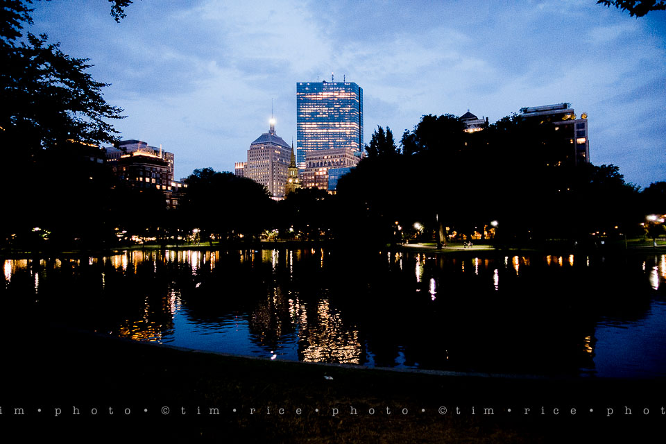 Yr7•305-366•2496•Got to Catch Them All