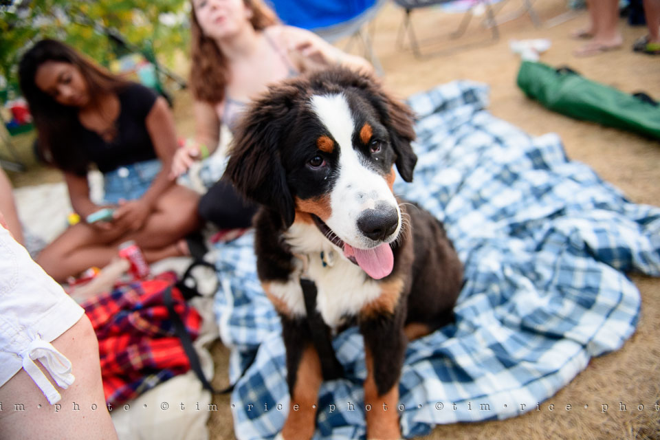 Yr7•307-366•2492•Ferris in the Park