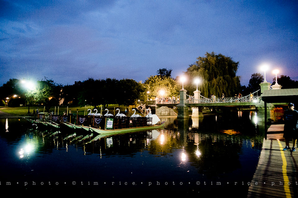 Yr7•307-366•2496•Got to Catch Them All