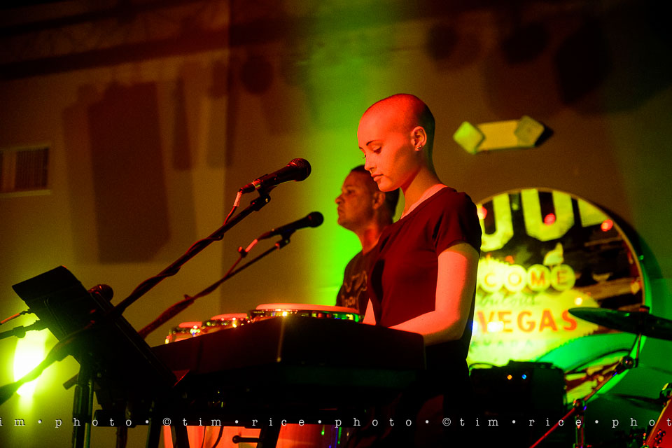 Yr7•308-366•2482•Carlie's Wish