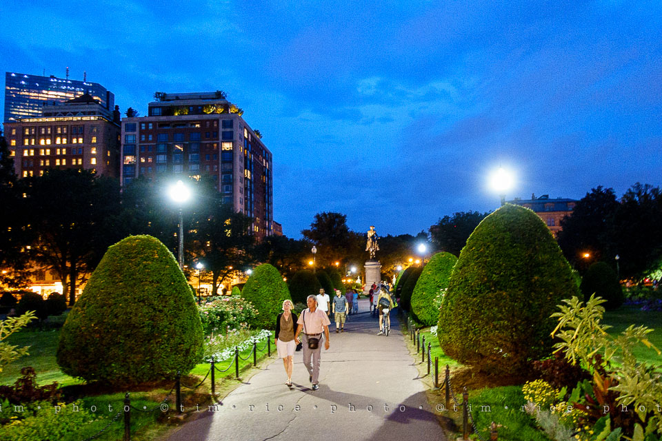 Yr7•308-366•2496•Got to Catch Them All