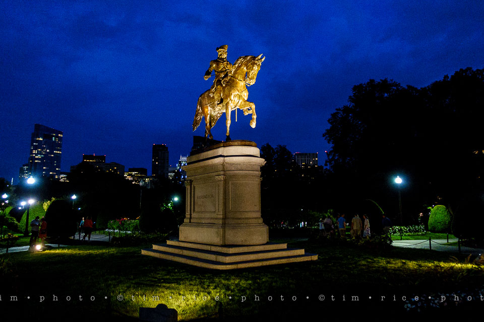 Yr7•309-366•2496•Got to Catch Them All