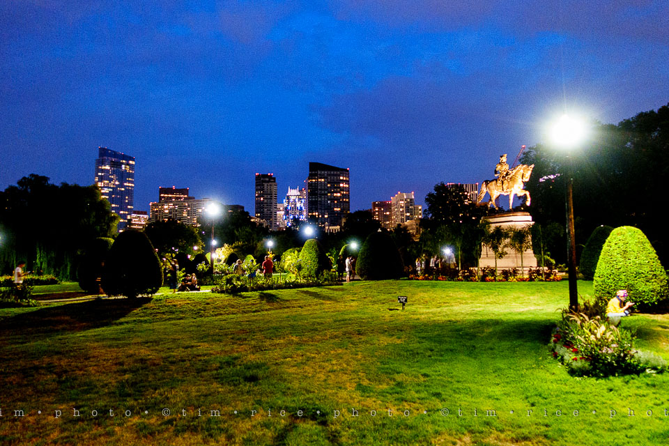 Yr7•310-366•2496•Got to Catch Them All